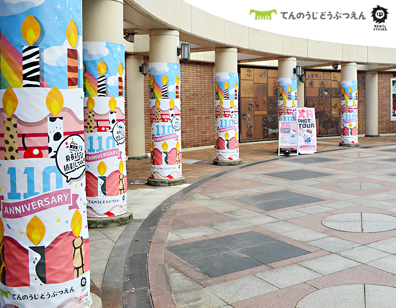 天王寺動物園初コラボでーす